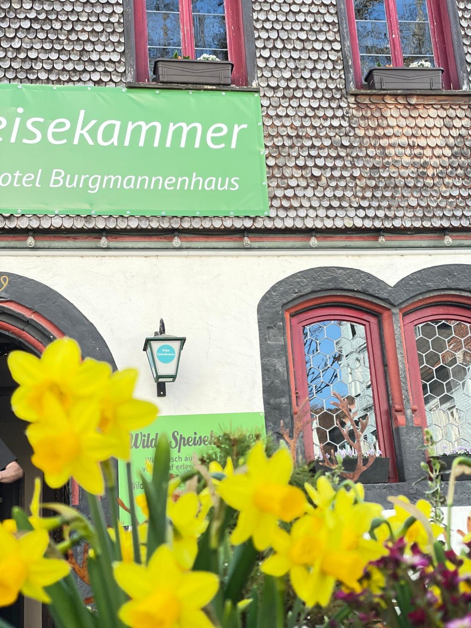 Burgmannenhaus Ξενοδοχείο Steinau an der Straße Εξωτερικό φωτογραφία